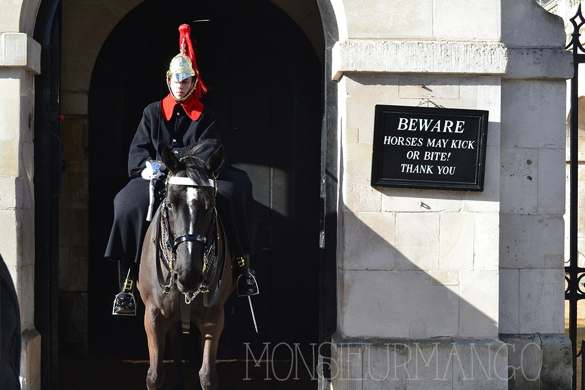 Afbeelding Londen wisseling van wacht op paard