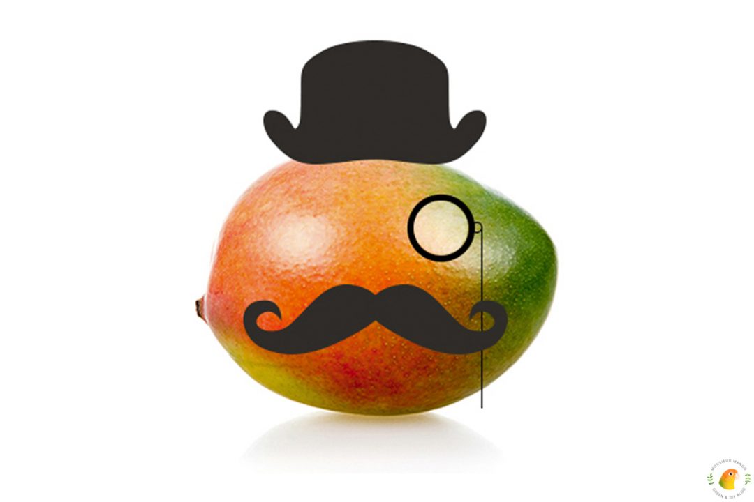 Afbeelding Wie is Monsieur Mango?