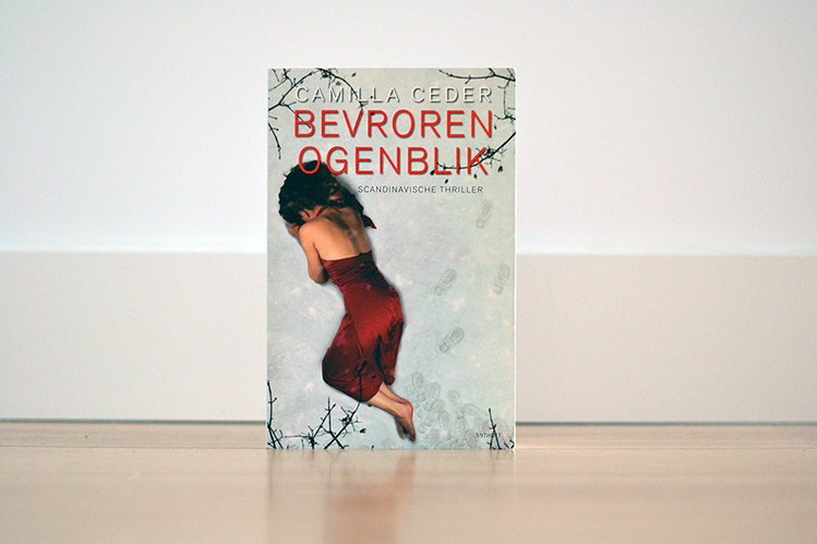 Afbeelding boek bevroren ogenblik