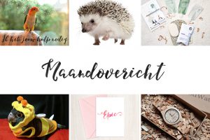 Afbeelding maandoverzicht april 2016