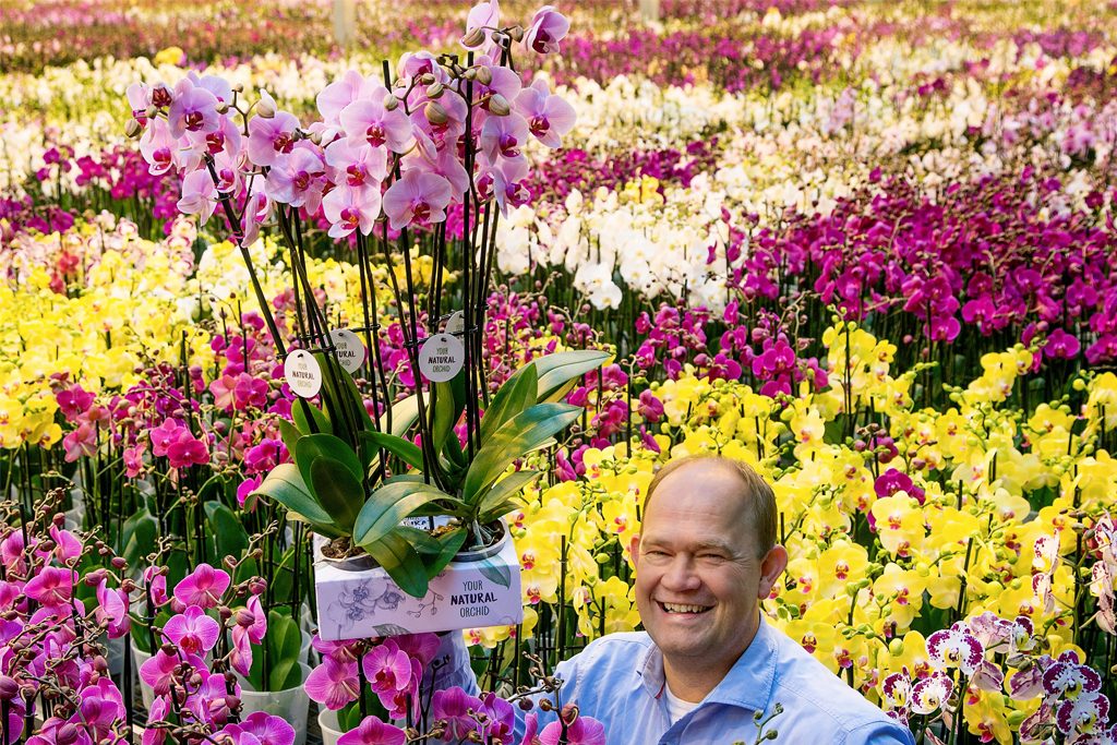 Afbeelding natuurlijke orchideeën met Jan Stolk