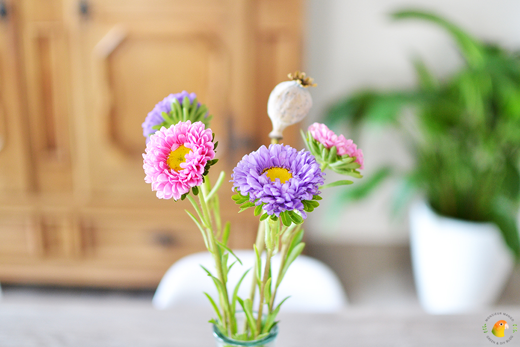 Afbeelding gekleurde bloemen