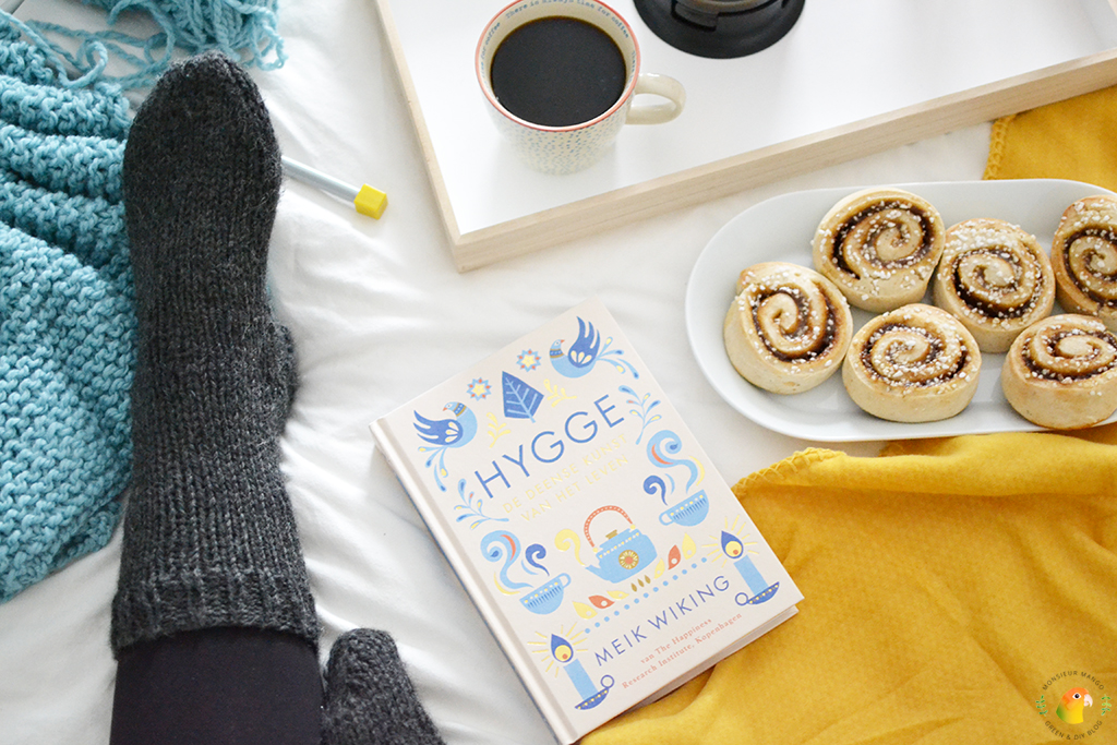 Boek: Hygge: de Deense kunst van het leven