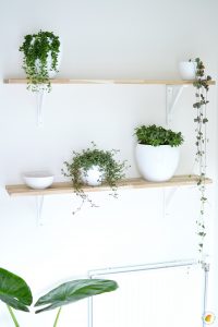 Scandinavische woonitems | Plantenwand