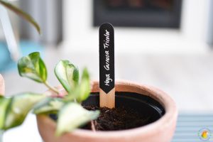 DIY Plantenbordjes maken