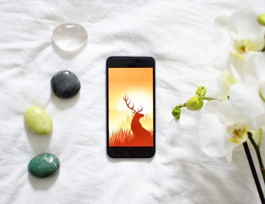 Wildfulness 2: een meditatie en mindfulness app