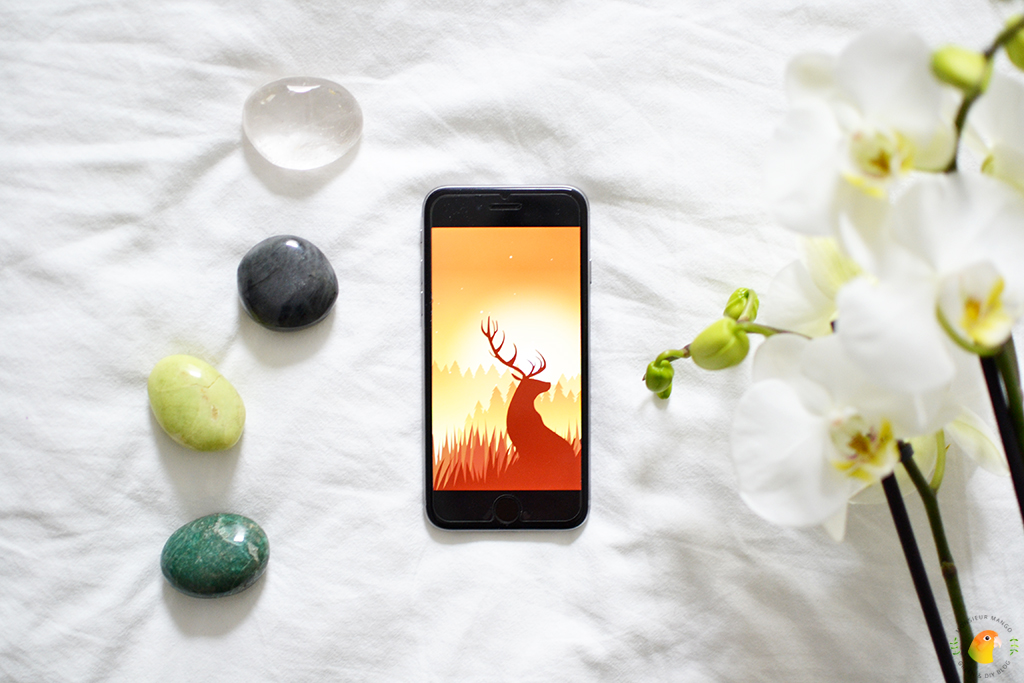 Wildfulness 2: een meditatie en mindfulness app